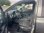 New 2026 Ford Ranger XL SuperCrew Cab for sale #13273 - photo 7