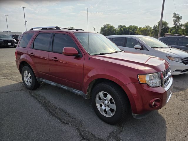 Used 2012 Ford Escape - photo 5