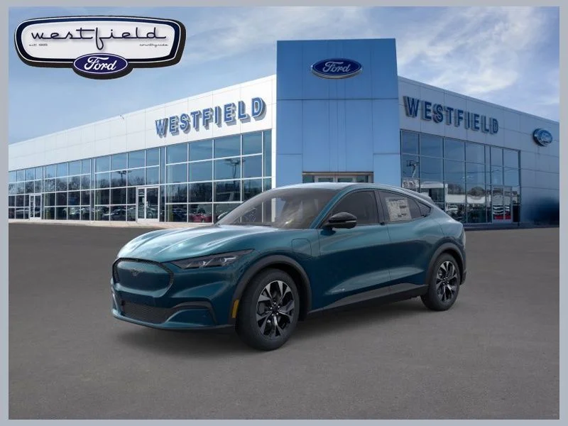 New 2026 Ford Mustang Mach-E - photo 25