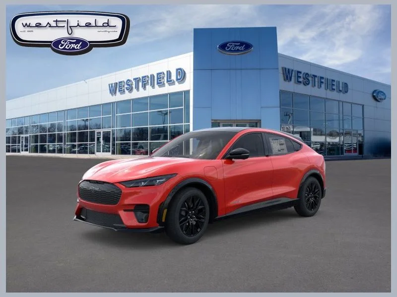 New 2026 Ford Mustang Mach-E - photo 24