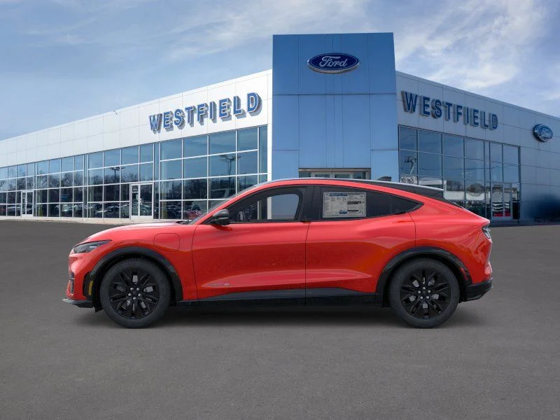 New 2026 Ford Mustang Mach-E - photo 23