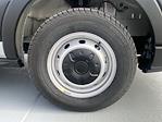 New 2026 Ford Transit 250 Low Roof Empty Cargo Van for sale #FC1887 - photo 3