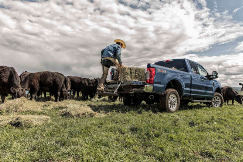 Diesel Trucks for Sale in Plainfield IN