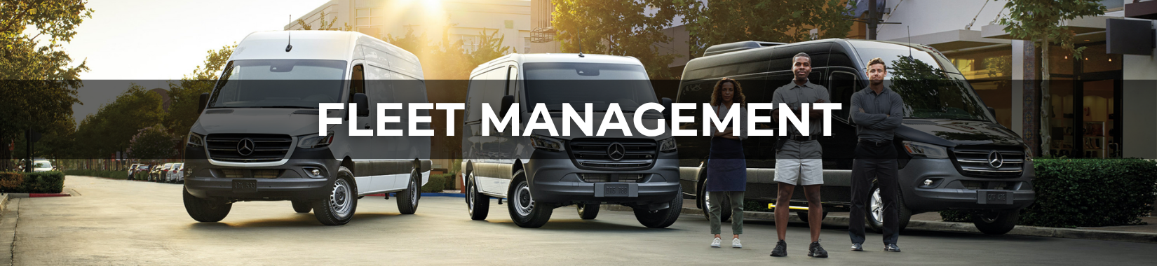 Mercedes-Benz van lineup banner.