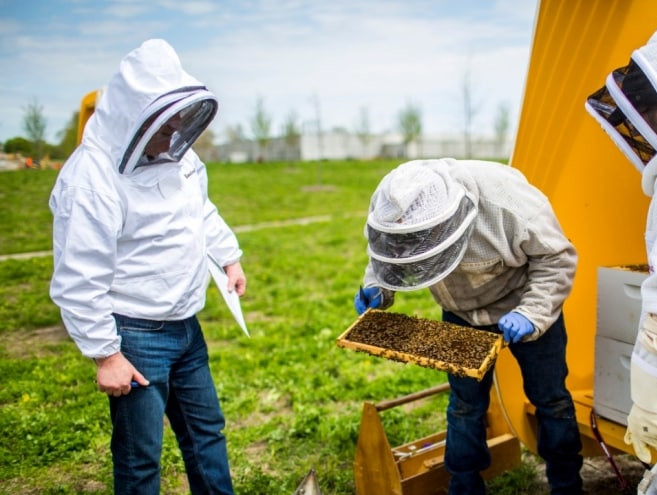 Beekeeper Work Trucks from Ron DuPratt Ford in Santa Rosa