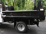 New 2024 Ford F-550 Regular Cab Steel Dump Truck for sale #F43613 - photo 1